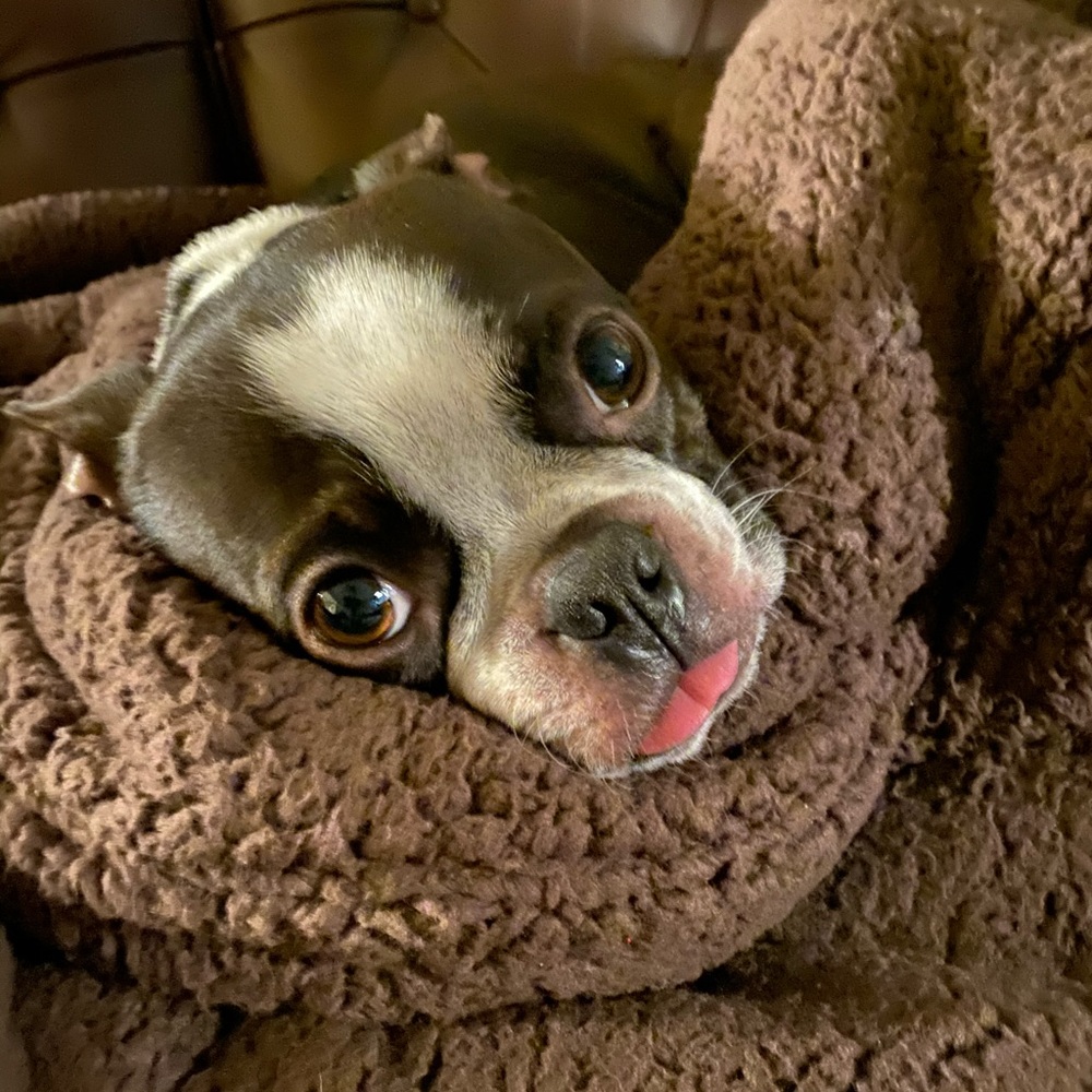 Meet your Posher, Caleb